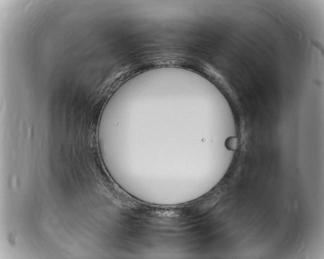 X0000100480161200806130740