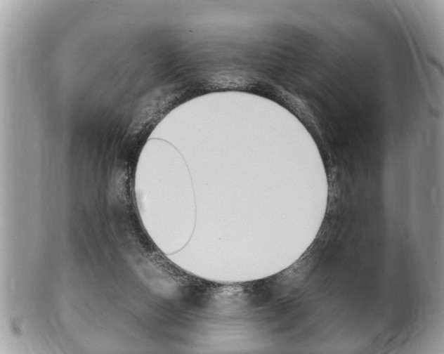X0000100480162200806130740
