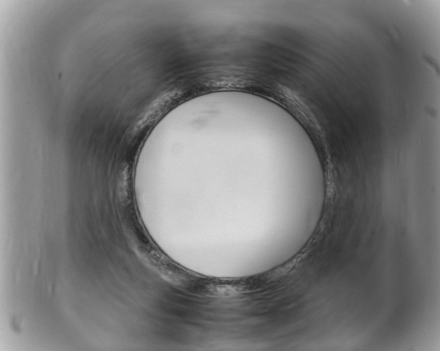 X0000100480163200806130740