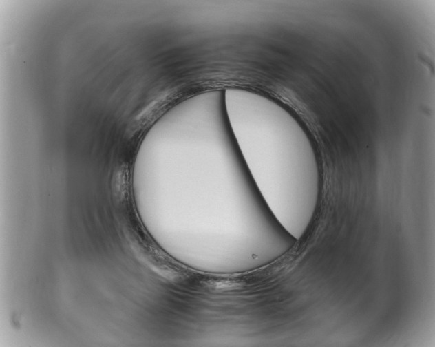 X0000100480165200806130740