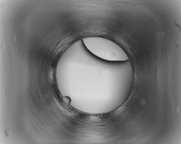 X0000100480166200806130740