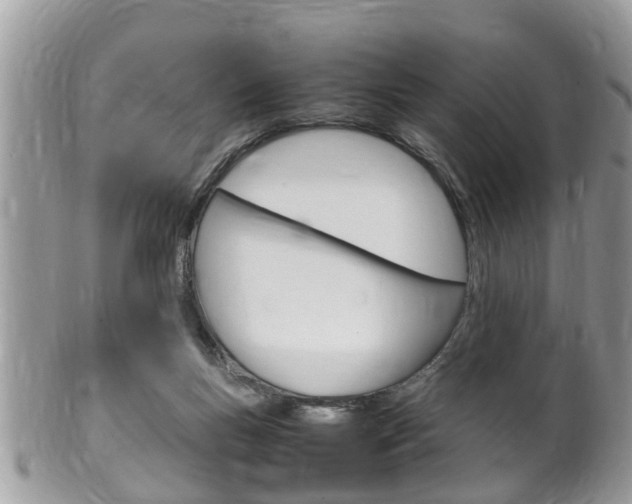 X0000100480167200806130740
