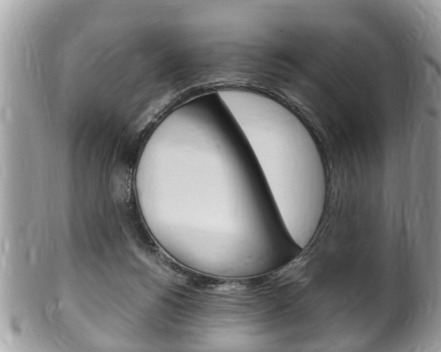 X0000100480168200806130740