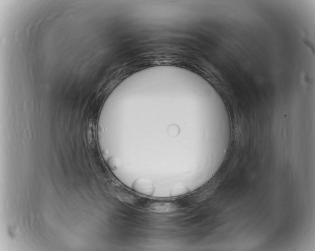 X0000100480169200806130740