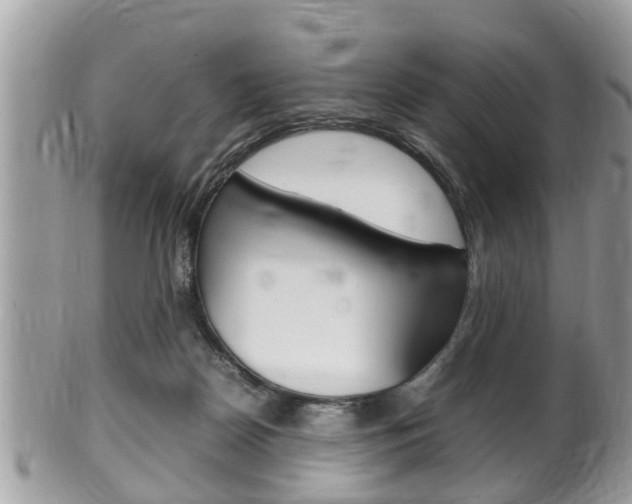 X0000100480170200806130740