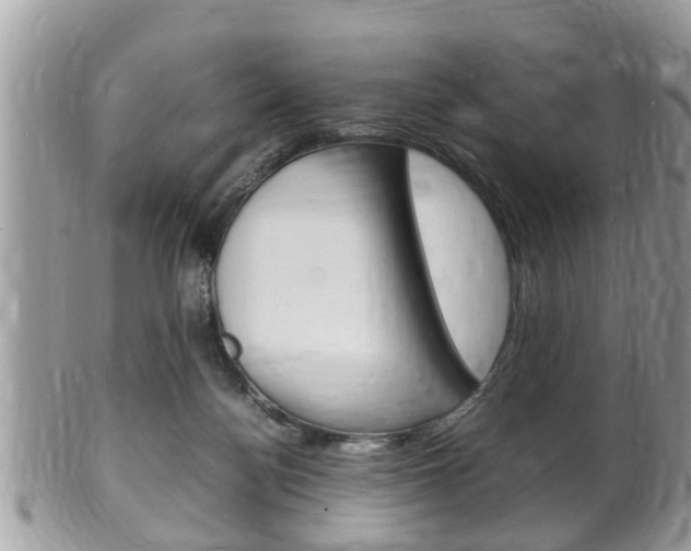 X0000100480172200806130740