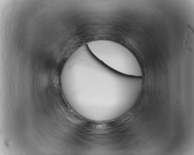 X0000100480173200806130740