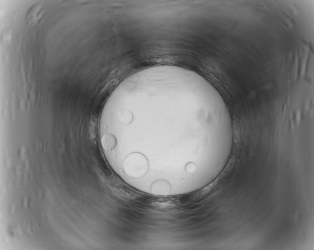 X0000100480175200806130740