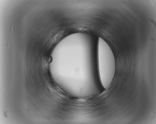 X0000100480176200806130740