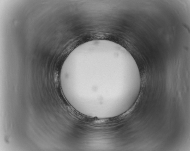 X0000100480178200806130740