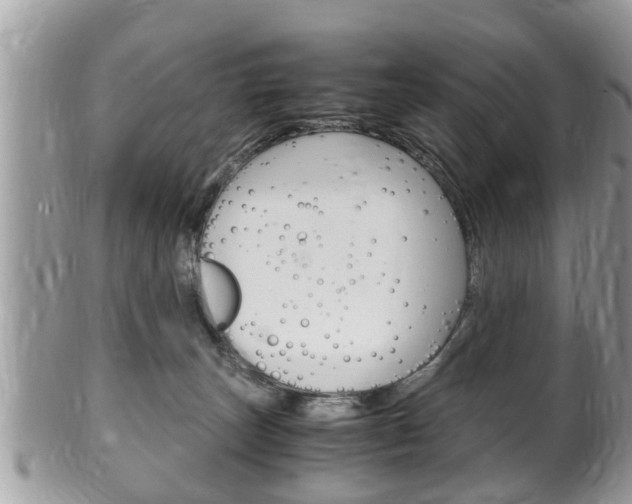 X0000100480179200806130741