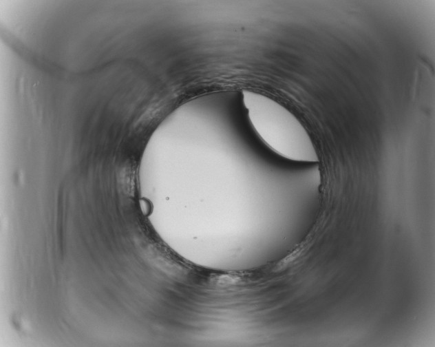 X0000100480180200806130741
