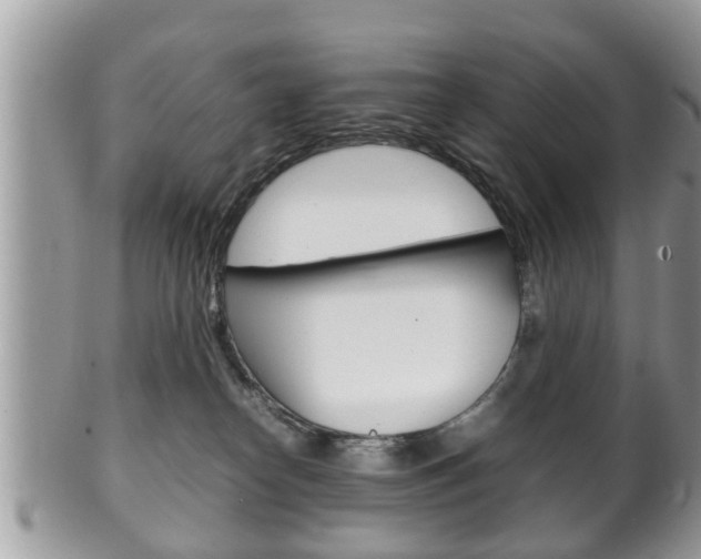 X0000100480182200806130741