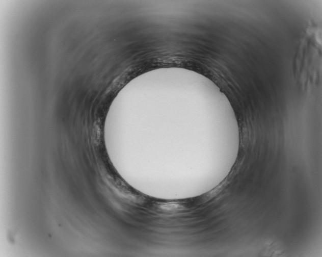 X0000100480183200806130741