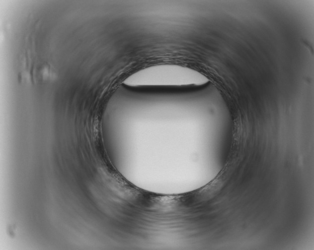 X0000100480184200806130741