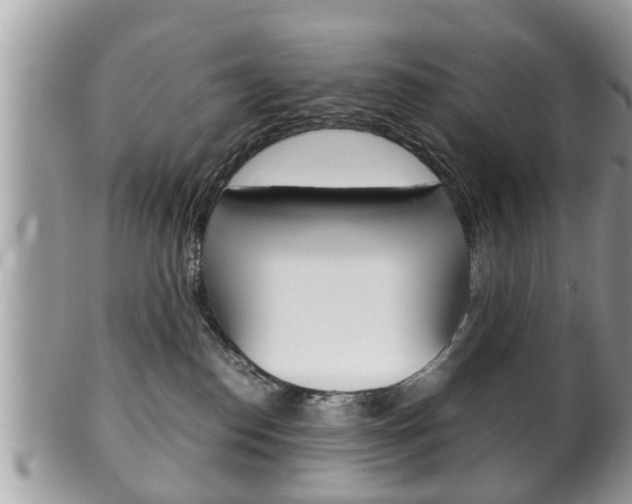 X0000100480186200806130741