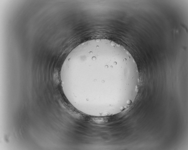 X0000100480187200806130741