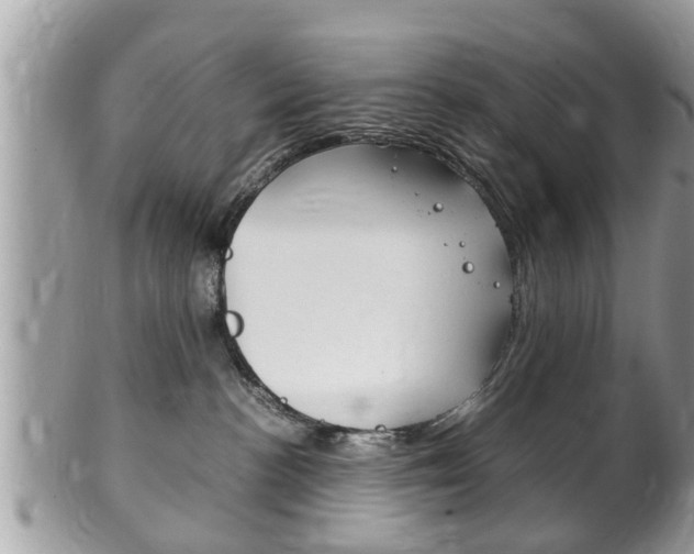X0000100480188200806130741