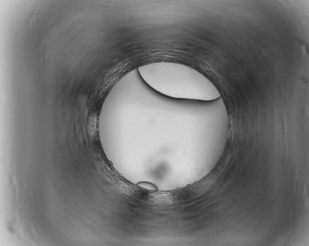 X0000100480189200806130741