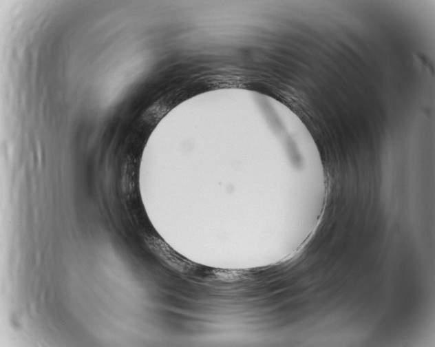X0000100480190200806130741