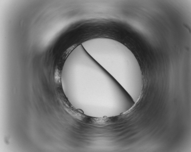 X0000100480191200806130741