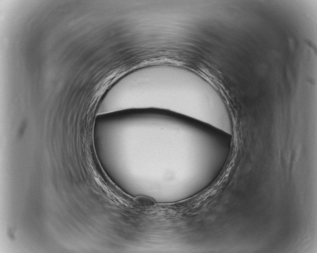 X0000100480193200806130740
