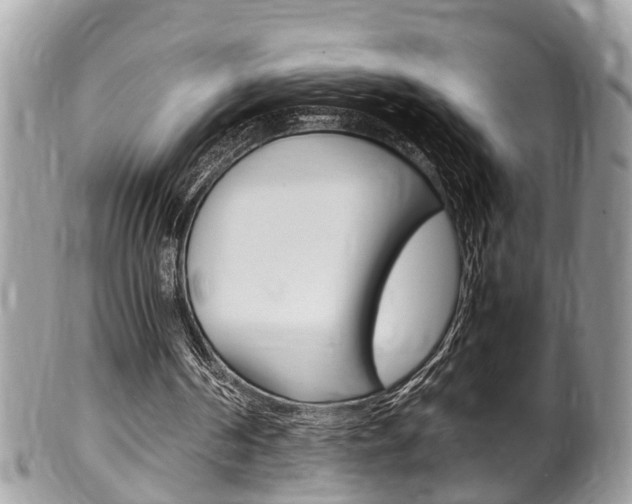 X0000100480194200806130740