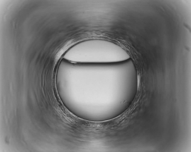 X0000100480195200806130740