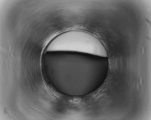 X0000100480196200806130740