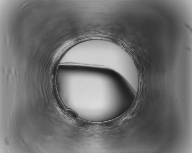 X0000100480197200806130740