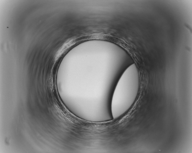 X0000100480198200806130740