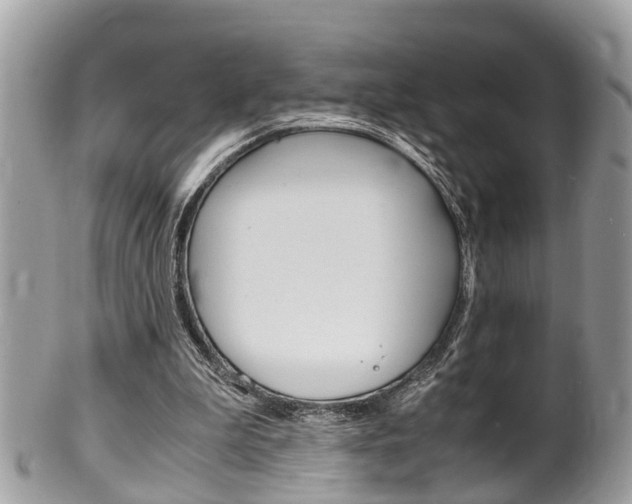 X0000100480199200806130740