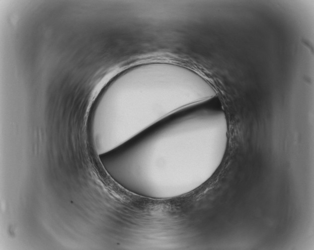 X0000100480200200806130740