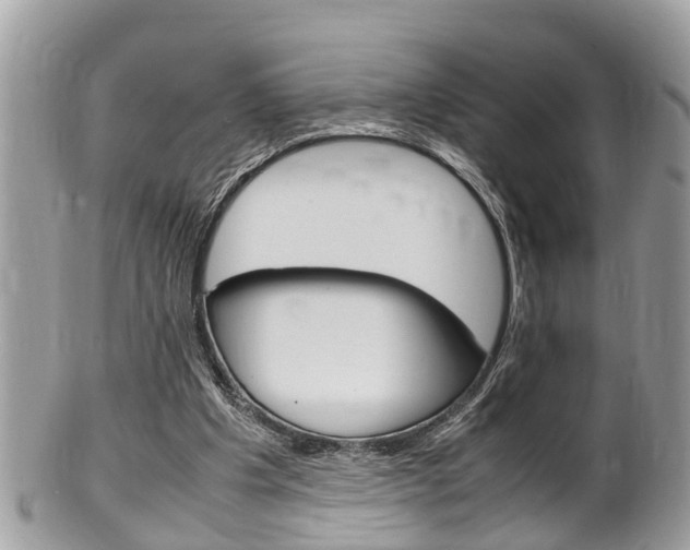 X0000100480201200806130740