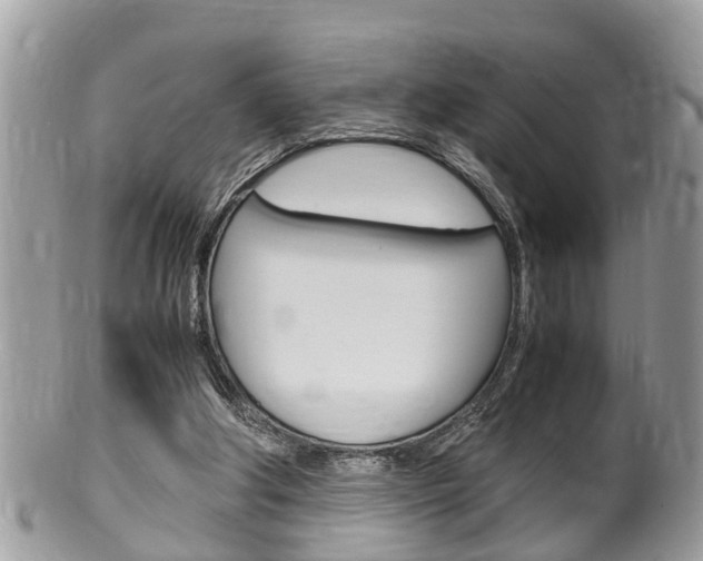 X0000100480202200806130740