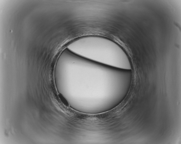 X0000100480203200806130740