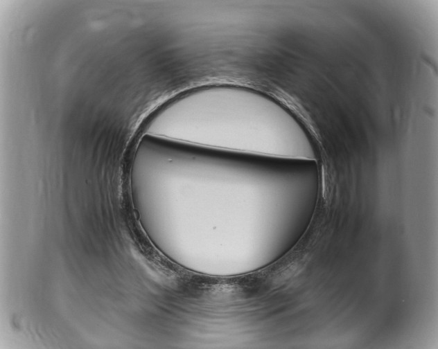 X0000100480204200806130740