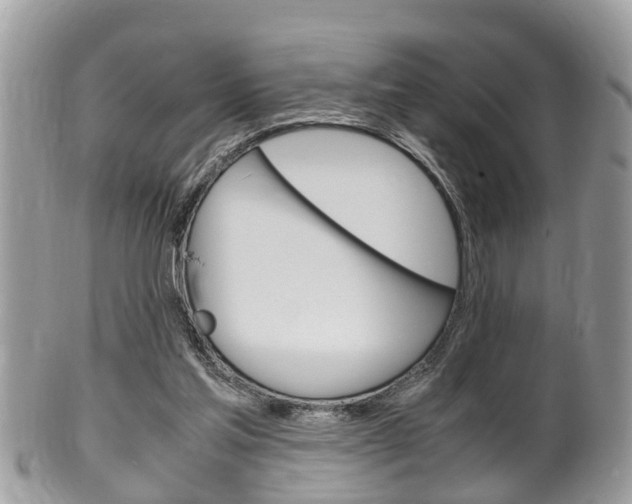 X0000100480205200806130740