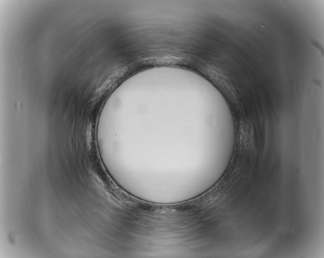 X0000100480206200806130740