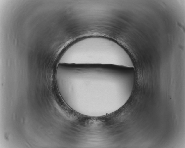 X0000100480208200806130740