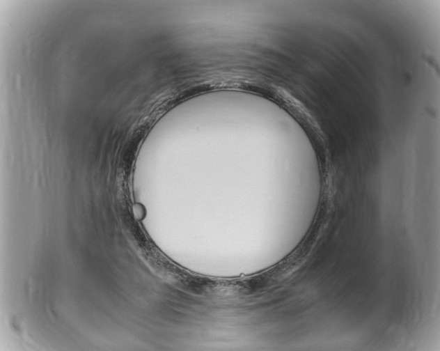 X0000100480209200806130740