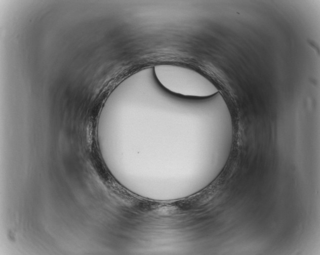 X0000100480210200806130740