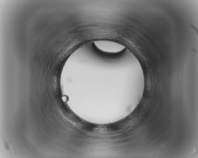 X0000100480211200806130740