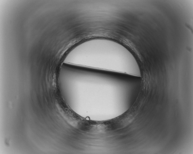 X0000100480212200806130740