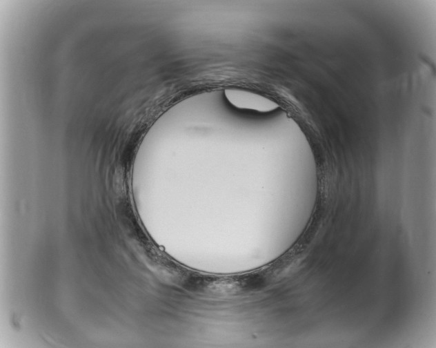 X0000100480213200806130740