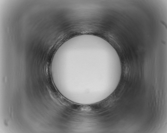 X0000100480214200806130740