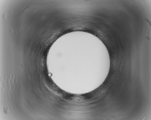 X0000100480215200806130740
