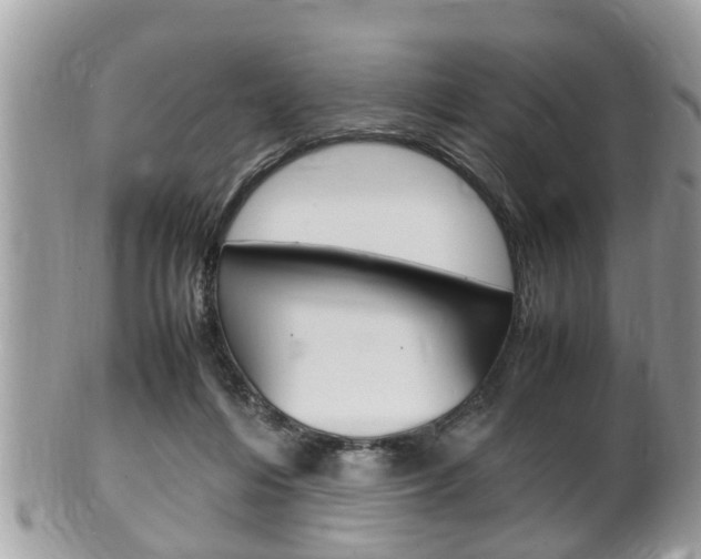 X0000100480216200806130740