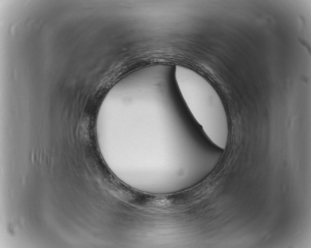 X0000100480217200806130740