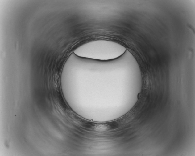 X0000100480218200806130740